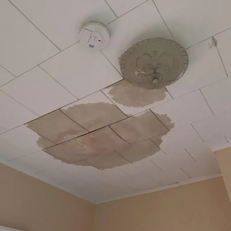Ceiling Water Damage Repair in Lisbon, ND