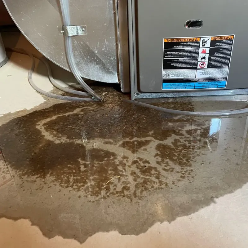 Pipe Burst and Leak Restoration in Lisbon, ND